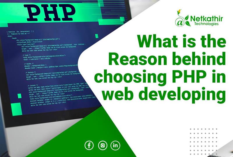 PHP in business web development